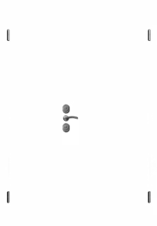 Hogo-V7