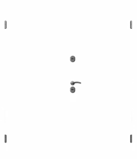 Hogo-V7