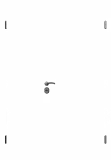 Aqara A100 Zigbee